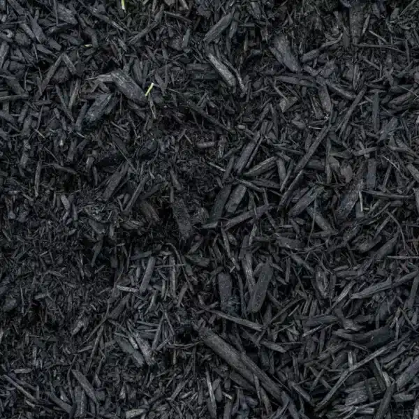Black Mulch Acorn